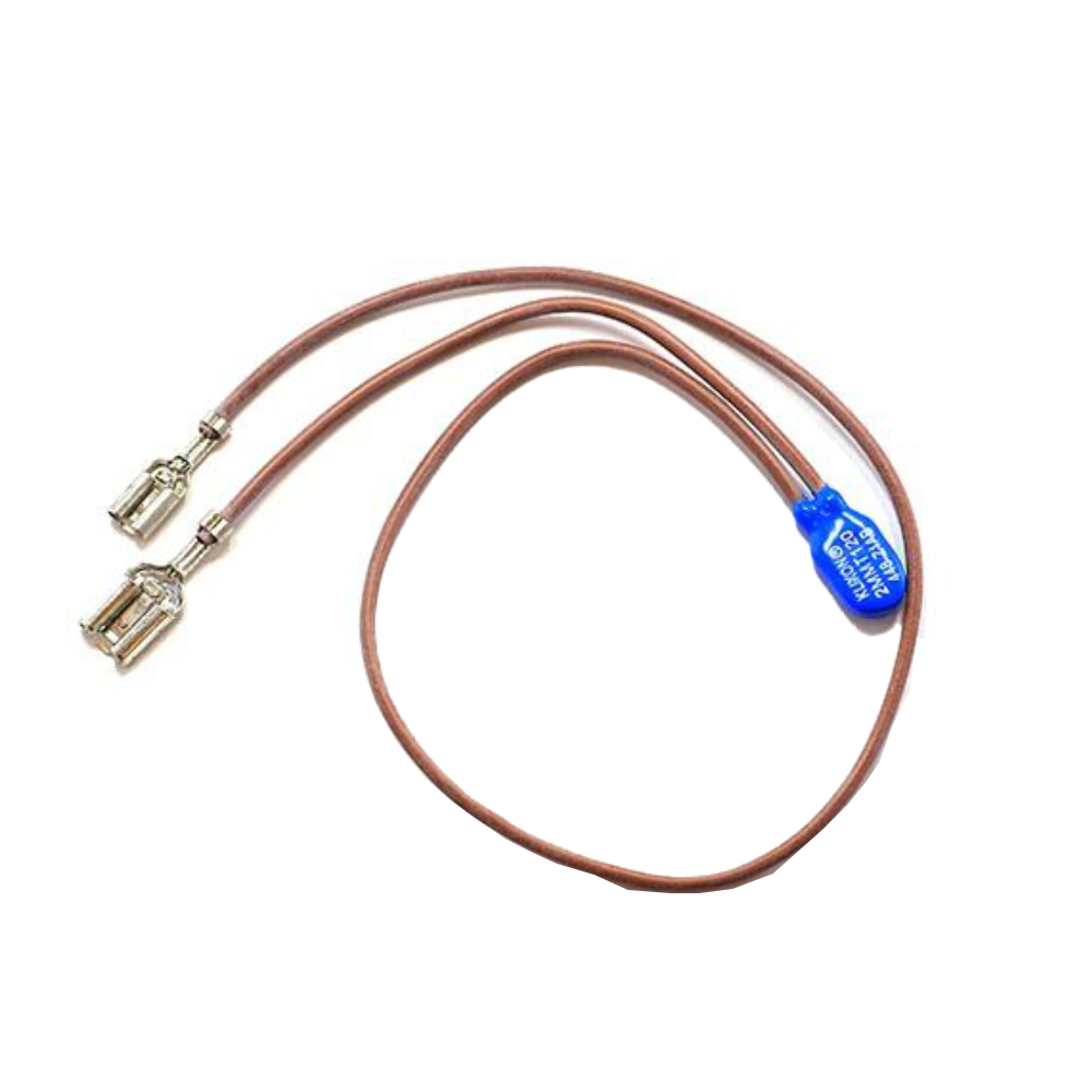 DeLonghi Thermosicherung  EAM / ESAM