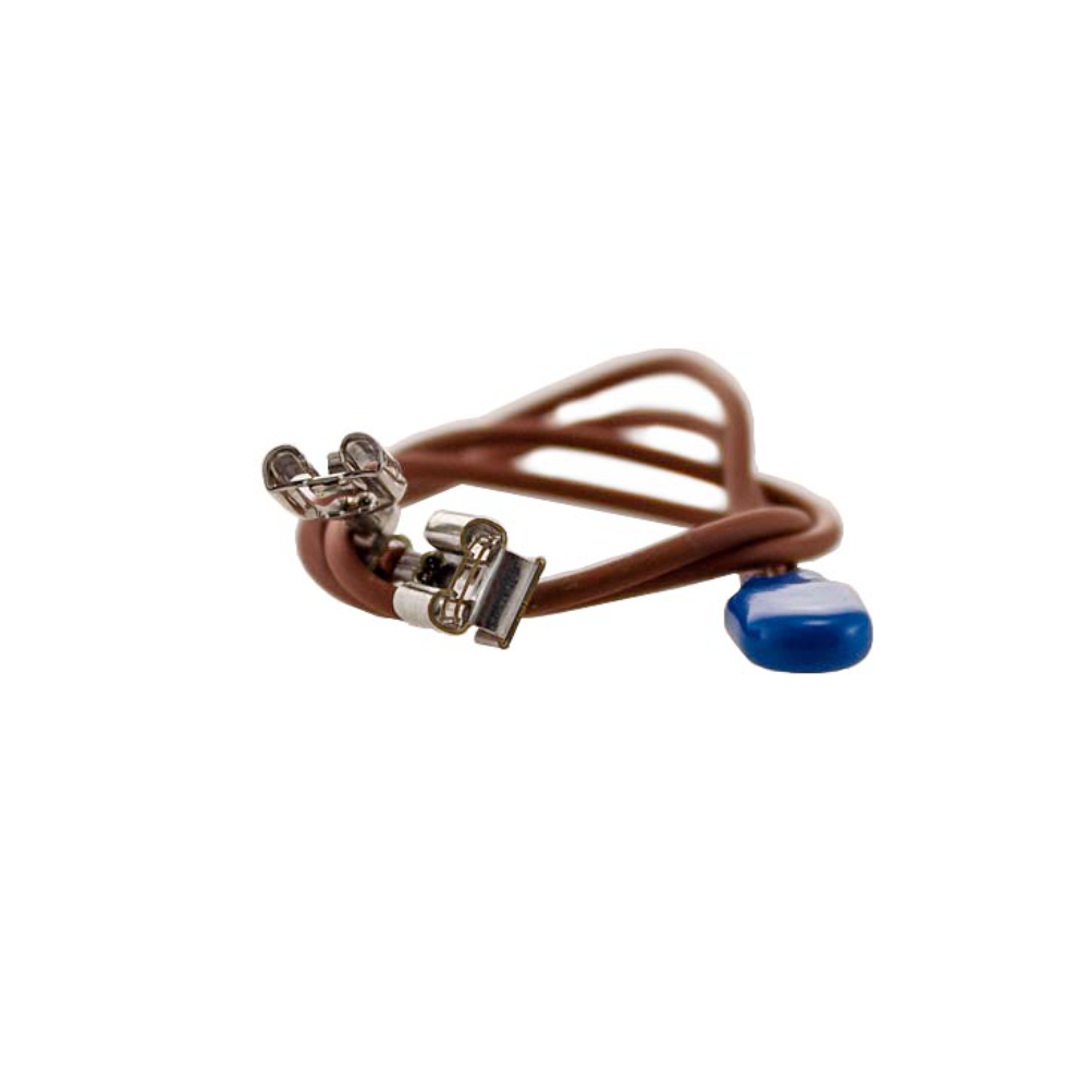 DeLonghi Temperatursicherung ESAM
