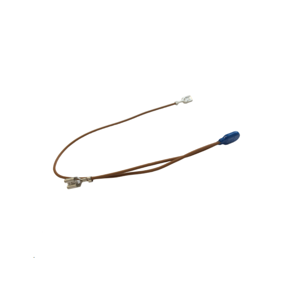 DeLonghi Thermosicherung Pumpe ECAM / ESAM