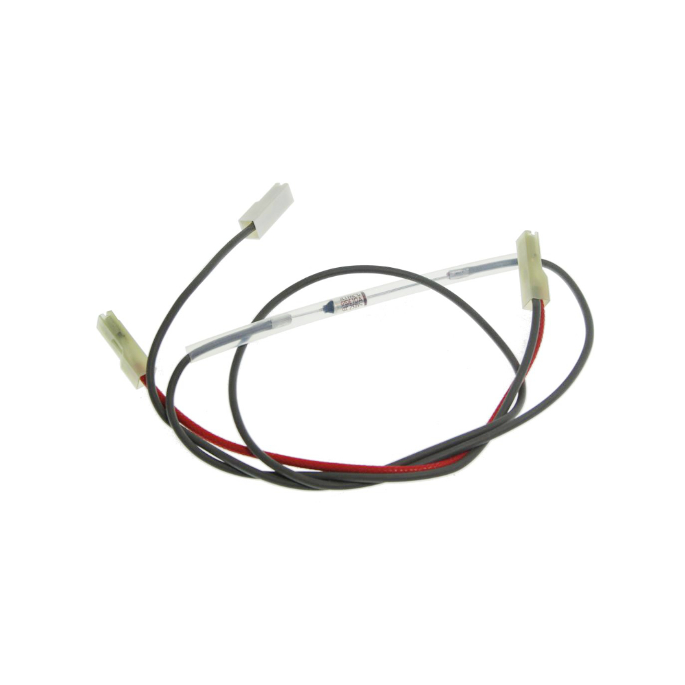 DeLonghi Thermosicherung Thermoblock ESAM