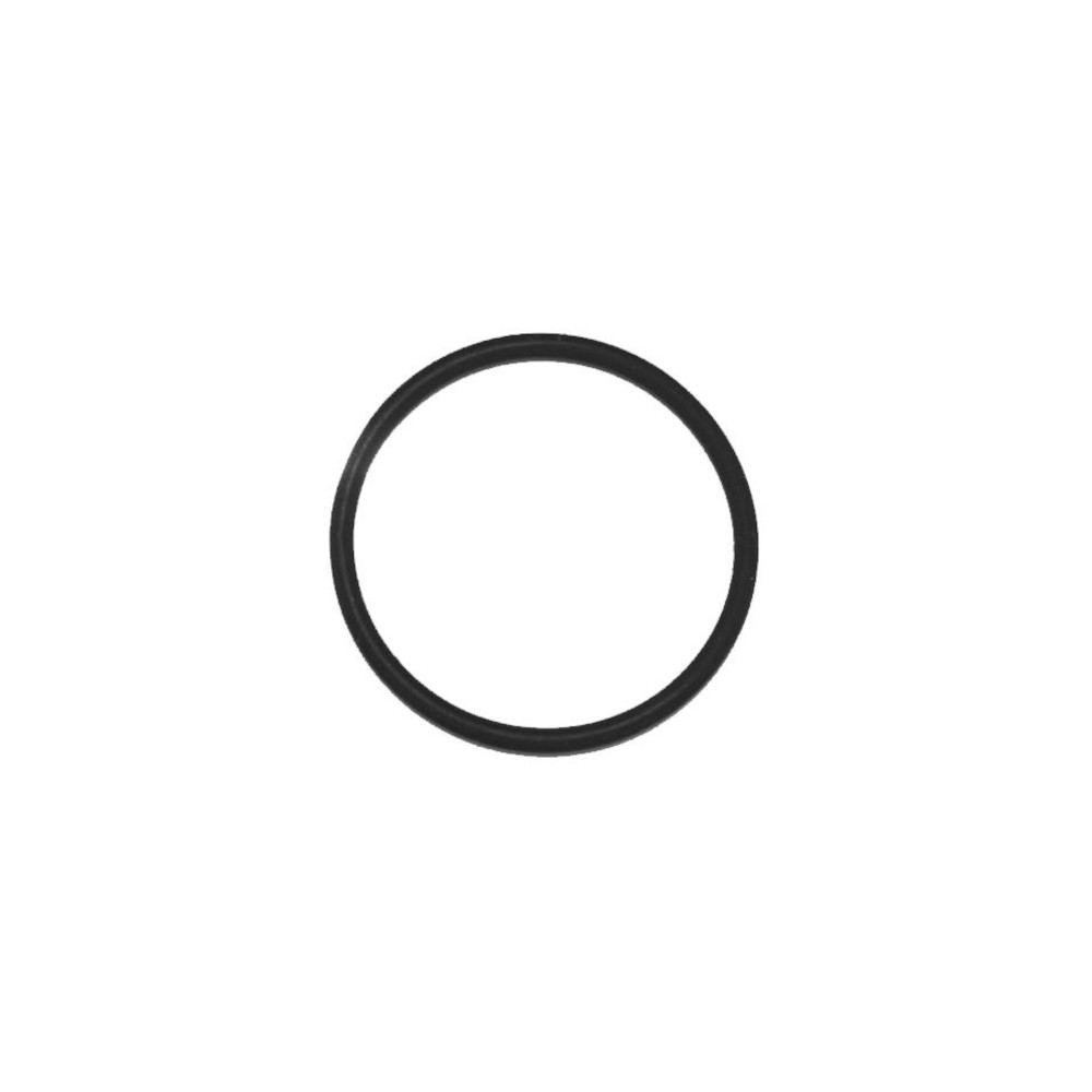 Saeco O-Ring 2118 AutoCappuccinatore