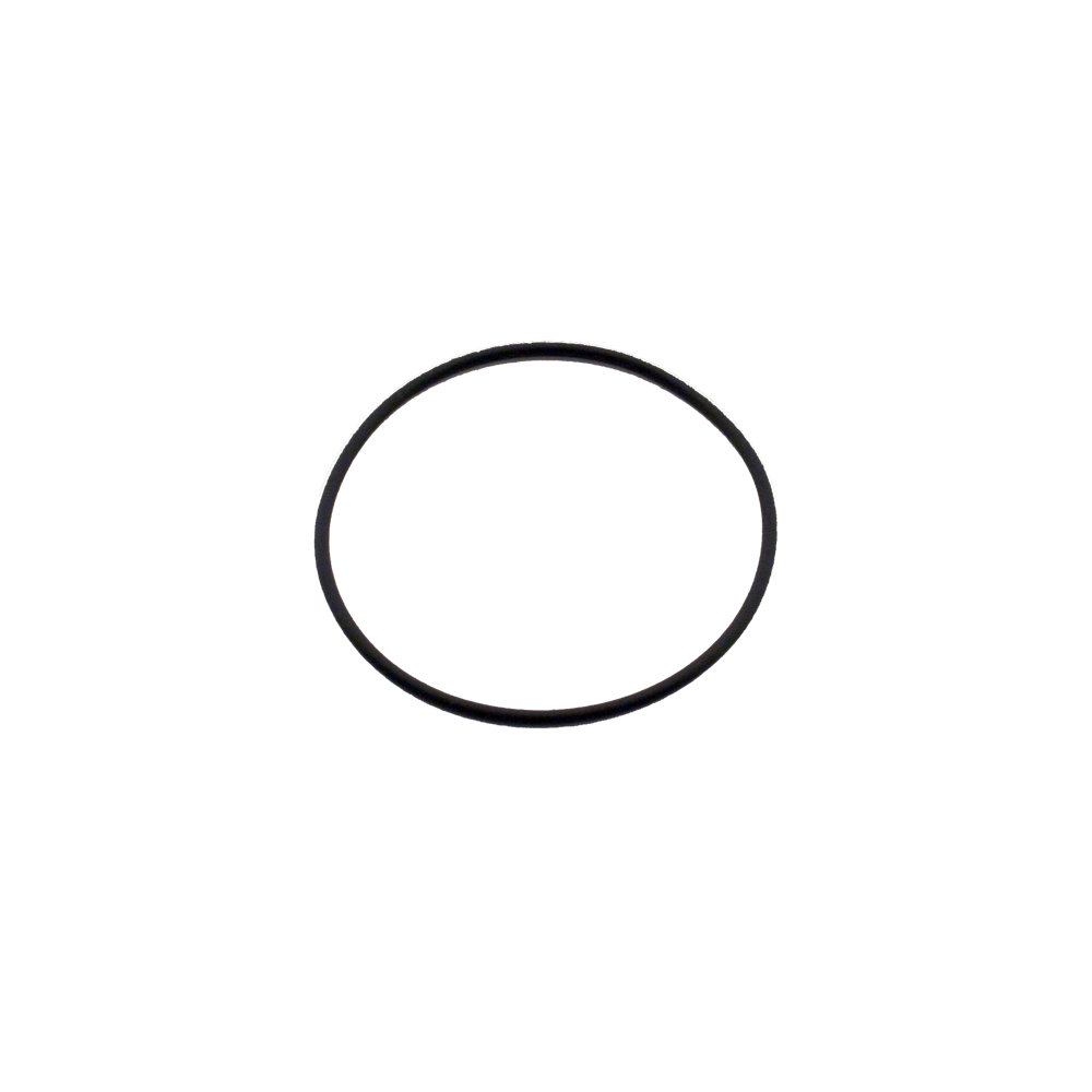 Saeco O-Ring Wassertank Incanto / Moltio / Minuto